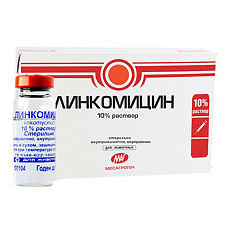 Линкомицин 10 % (Lyncomycinum 10 %) - инструкция по применению, отзывы и аналоги - все, что нужно знать для эффективного лечения Линкомицин 10 % (Lyncomycinum 10 %): инструкция по применению, отзывы, аналоги