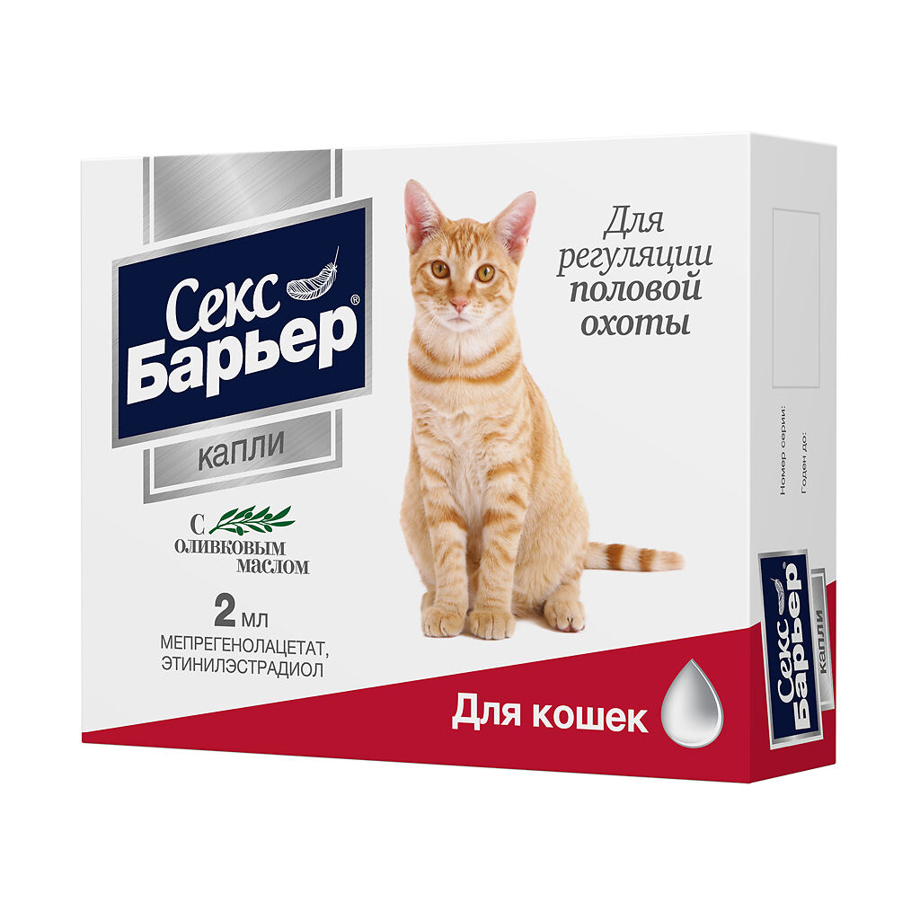 Секс Мужика С Кошкой