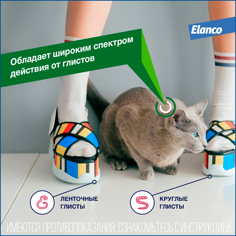 Дронтал таблетки для кошек 2 шт - купить, цена и отзывы, Дронтал ...
