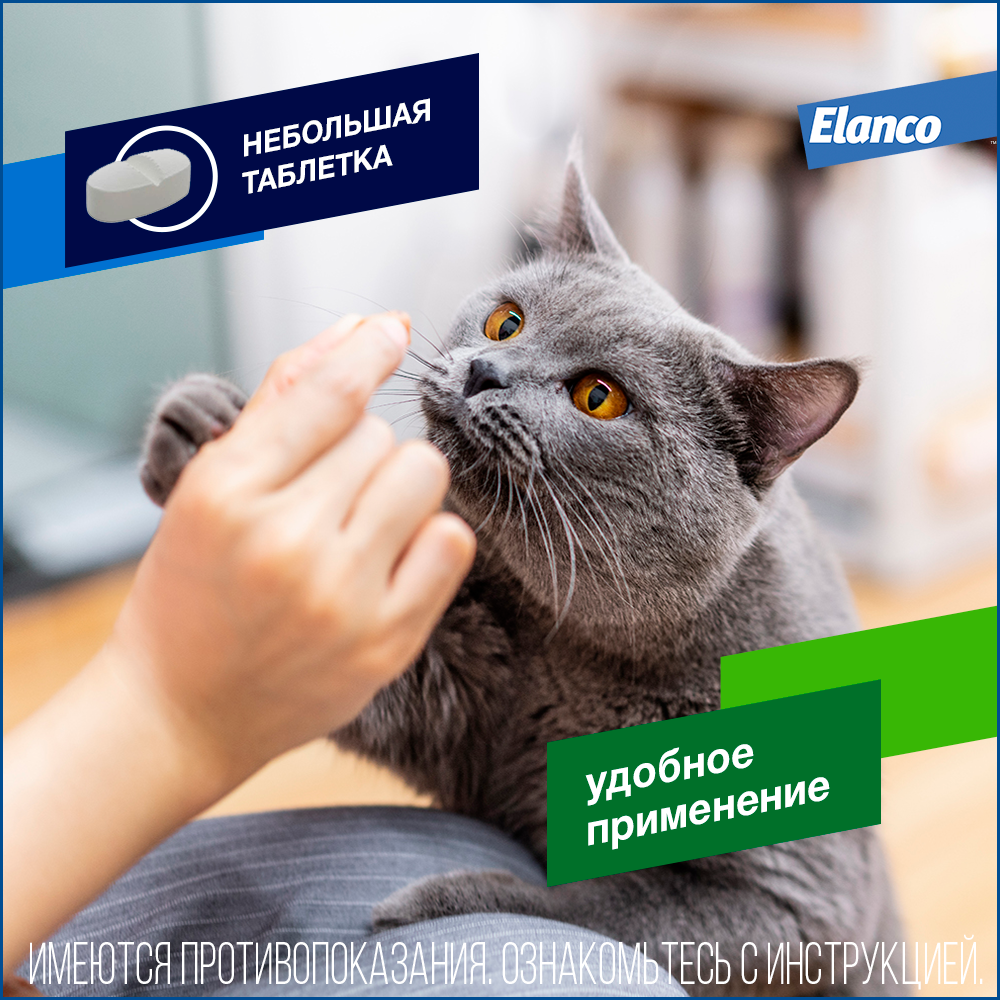 Дронтал таблетки для кошек 2 шт - купить, цена и отзывы, Дронтал ...