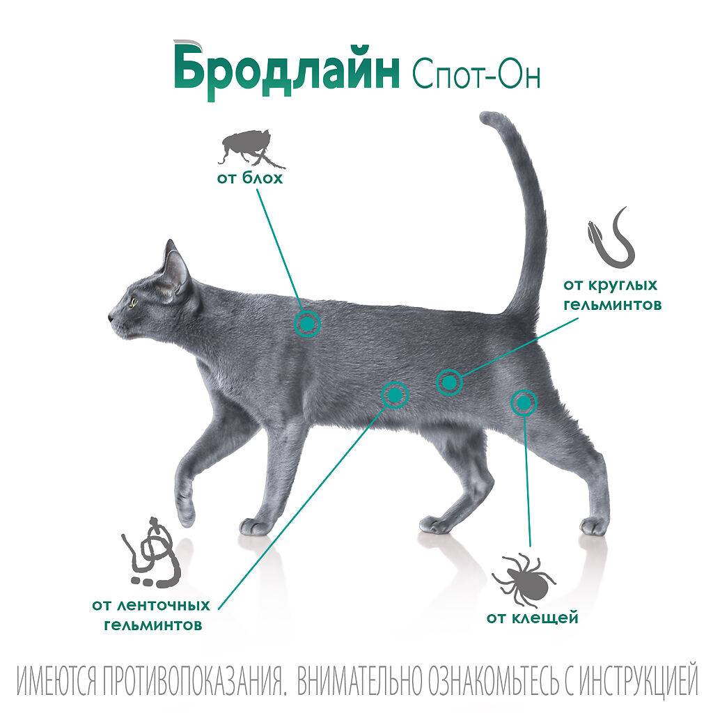 Бродлайн Спот Он капли на холку для кошек 2.5-7,5 кг раствор для ...