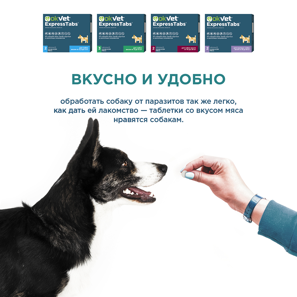 OkVet ExpressTabs от клещей, блох, вшей и гельминтов для собак от 5 кг ...